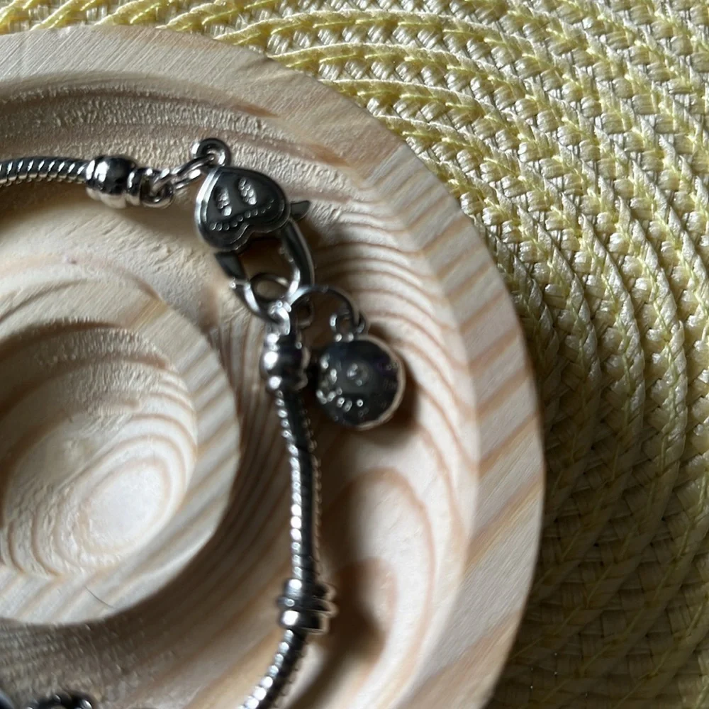 N/A nwot pandora